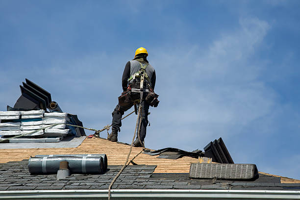 Professional Roof Replacement technician working in Julian, NE